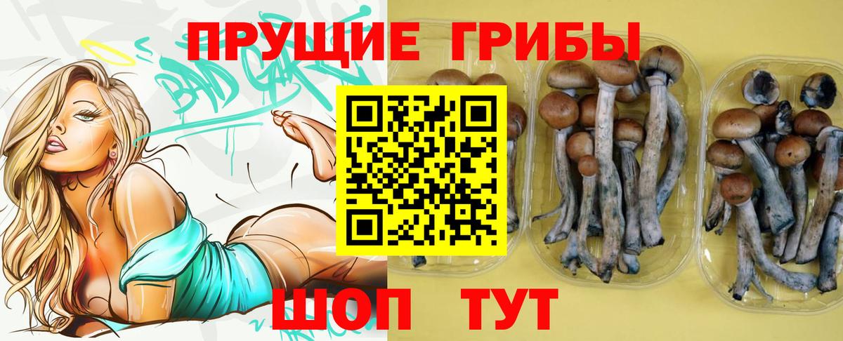 Галлюциногенные грибы мицелий  Псилоцибиновые грибы Psilocybe  Вход с VPN  Саянск 