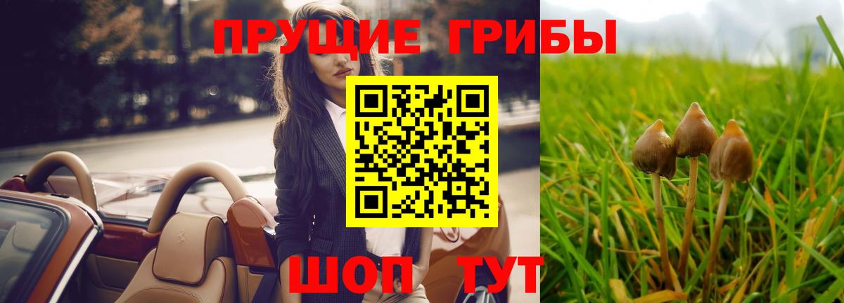 Галлюциногенные грибы мухоморы Саянск